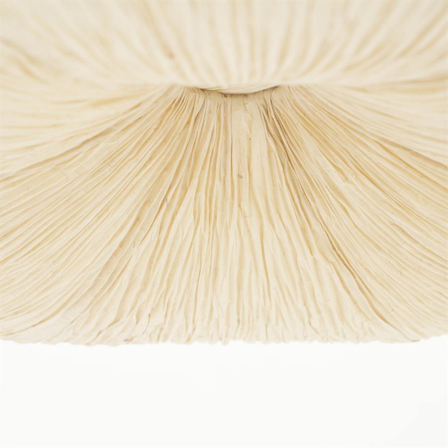 Hanglamp Lokta 2 | Natuurlijk
