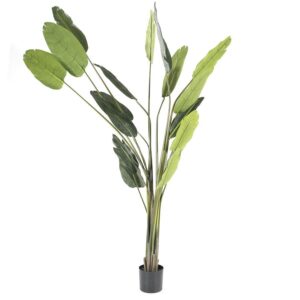 Kunstplant Strelitzia Groot |