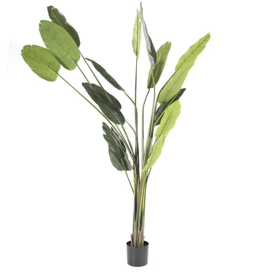 Kunstplant Strelitzia Groot |