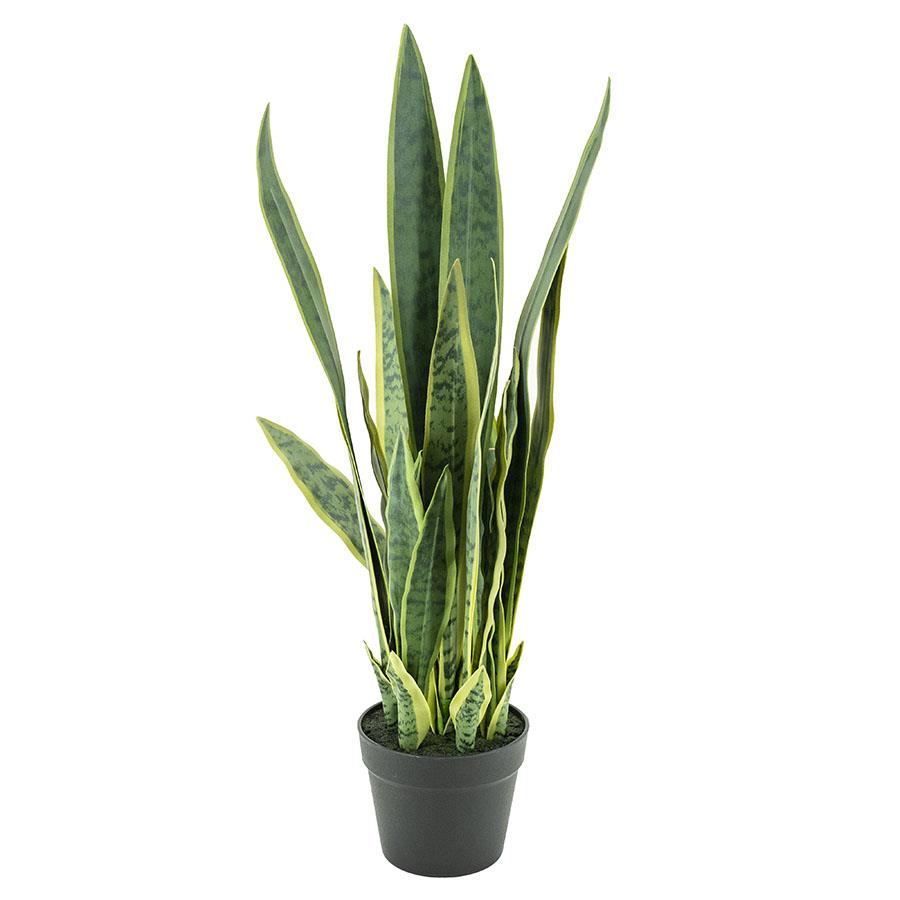 Kunstplant Sansevieria Middel