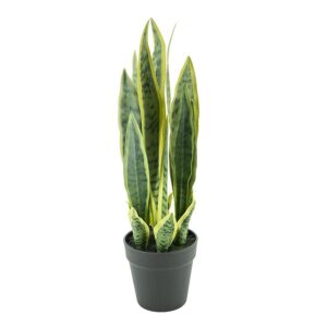 Kunstplant Sansevieria Klein