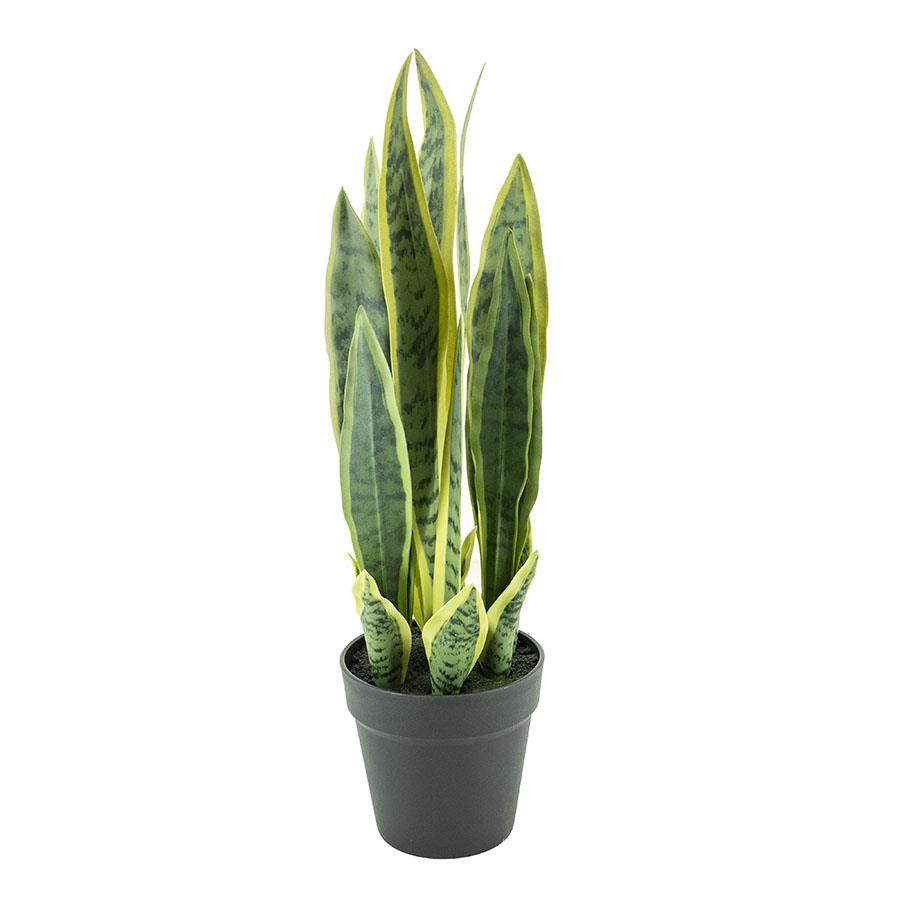 Kunstplant Sansevieria Klein